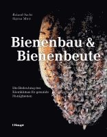 bokomslag Bienenbau und Bienenbeute