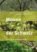 bokomslag Moose der Schweiz