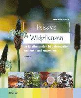 Heilsame Wildpflanzen 1