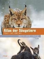 bokomslag Atlas der Säugetiere - Schweiz und Liechtenstein