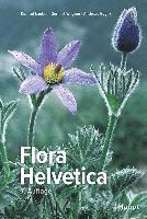 bokomslag Flora Helvetica - Illustrierte Flora der Schweiz