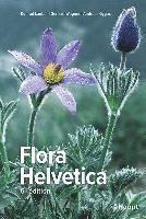 Konrad Lauber, Gerhart Wagner, Andreas Gygax - Flora Helvetica - Flore illustrée de Suisse, Inbunden