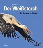 Lorenz Heer - Der Weißstorch, Inbunden
