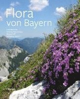 bokomslag Flora von Bayern