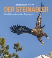 Der Steinadler