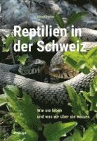 bokomslag Reptilien in der Schweiz