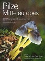 bokomslag Pilze Mitteleuropas