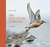 bokomslag Die Watvögel Europas