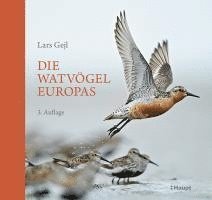 bokomslag Die Watvögel Europas