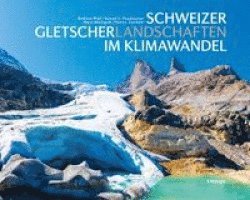 Andreas Wipf, Samuel U. Nussbaumer, Horst Machguth, Heinz J. Zumbühl - Schweizer Gletscherlandschaften im Klimawandel, Inbunden