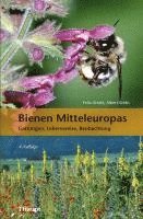 bokomslag Bienen Mitteleuropas