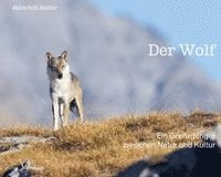 bokomslag Der Wolf