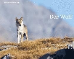 Der Wolf 1