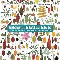 bokomslag Bilder aus Blatt und Blüte