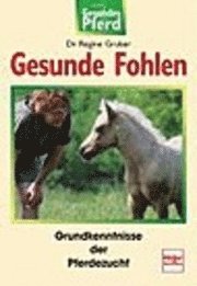 Gesunde Fohlen 1