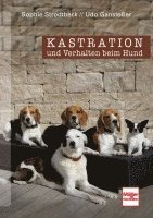 Udo Gansloßer, Sophie Strodtbeck - Kastration und Verhalten beim Hund - Eine Entscheidungshilfe, Inbunden