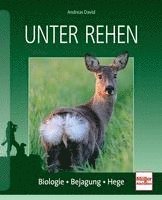 bokomslag Unter Rehen