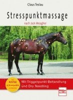 bokomslag Stresspunktmassage nach Jack Meagher