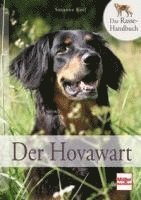 bokomslag Der Hovawart