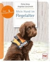 bokomslag Mein Hund im Flegelalter