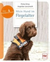 bokomslag Mein Hund im Flegelalter