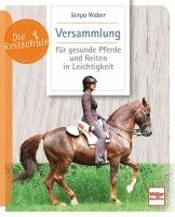 bokomslag Versammlung für gesunde Pferde und Reiten in Leichtigkeit