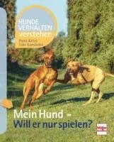 bokomslag Mein Hund - Will er nur spielen?