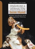 bokomslag Ernährung & Verhalten beim Hund