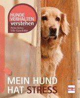 bokomslag Mein Hund hat Stress