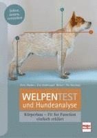 bokomslag Welpentest und Hundeanalyse