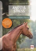 bokomslag Angst & Stress beim Pferd