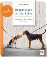 bokomslag Begegnungen an der Leine