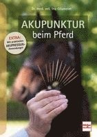 bokomslag Akupunktur beim Pferd