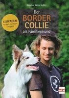 bokomslag Der Border Collie als Familienhund