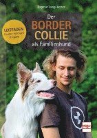 Der Border Collie als Familienhund 1