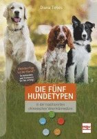 bokomslag Die fünf Hundetypen