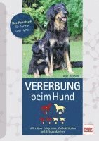 bokomslag Vererbung beim Hund