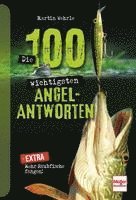 bokomslag Die 100 wichtigsten Angel-Antworten