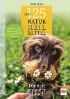 bokomslag Über 125 Naturheilmittel für den gesunden Hund!