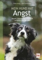 Petra Krivy, Udo Gansloßer - Mein Hund hat Angst, Häftad