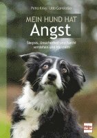 bokomslag Mein Hund hat Angst