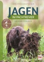 Jagen im Pachtrevier 1