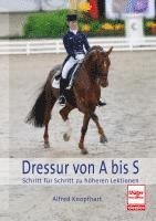 bokomslag Dressur von A bis S