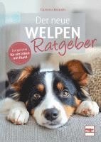 bokomslag Der neue Welpenratgeber