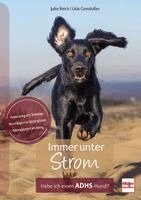Udo Gansloßer, Julia Reich - Immer unter Strom, Häftad