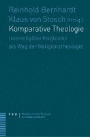 bokomslag Komparative Theologie: Interreligiose Vergleiche ALS Weg Der Religionstheologie