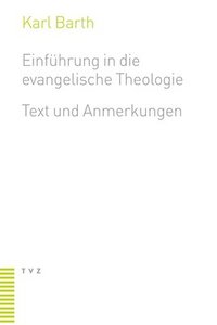 bokomslag Einführung in die evangelische Theologie