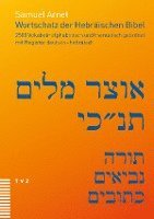 bokomslag Wortschatz der Hebräischen Bibel