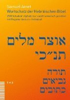bokomslag Wortschatz Der Hebraischen Bibel: 2500 Vokabeln Alphabetisch Und Thematisch Geordnet, Mit Register Deutsch-Hebraisch