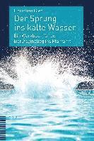 bokomslag Der Sprung Ins Kalte Wasser: Ein Werkbuch Fur Den Berufseinstieg Ins Pfarramt